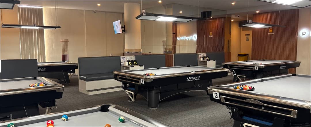Play Billiard